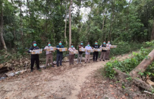 Petugas Gagalkan Penyelundupan 372 Burung dari Belitung, Ratusan Satwa Langsung Dilepasliarkan