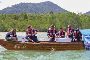 PT TIMAH Tebar Ribuan Kepiting Bakau di Karimun, Upaya Nyata Jaga Ekosistem Pesisir
