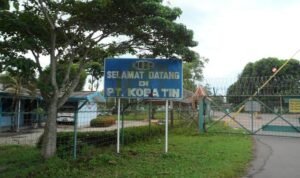 IMG-20260701-WA0113