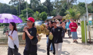 Tradisi Nganggung Durian Pelangas Jadi Daya Tarik Wisata, Pengunjung Puji Kelezatan Durian Bangka