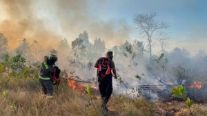 Empat Jam Lawan Kobaran Api, Polda Babel dan Damkar Berhasil Kendalikan Karhutla di Temberan