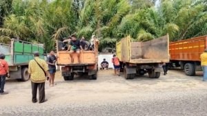 Operasi Bareskrim di Gantung Beltim Berujung Pengamanan 4 Truk, Diduga Angkut 28 Ton Pasir Timah