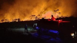 Karhutla Kalimantan Mengerikan, Asap Menyeberang ke Malaysia hingga 108 Sekolah Ditutup