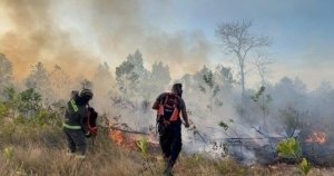 Kemarau Kering Mengancam Babel, BMKG Tetapkan Status Siaga hingga Waspadai Karhutla