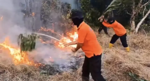 Sulit Dijangkau Armada, Karhutla 20 Hektare di Tamberan Dipadamkan Pakai Ranting