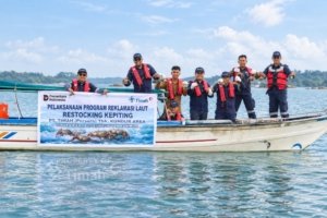 PT TIMAH Restocking 1.000 Kepiting Bakau di Kundur, Komitmen Jaga Kelestarian Lingkungan