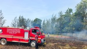 Kebakaran Lahan di Pangkalpinang Naik Hampir 5 Kali Lipat, Petugas Bisa Padamkan Api 10 Kali Sehari