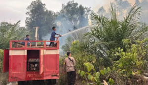 Karhutla Air Bulin Meluas hingga 3 Hektare, Petugas Berjibaku Padamkan Api Sampai Malam