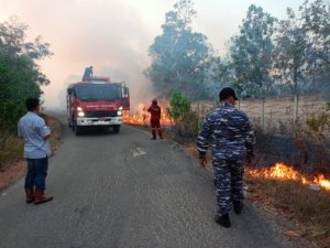 API MENGAMUK DEKAT RSUD SOEKARNO! 6 Hektare Lahan Terbakar, TNI AL-Polri-BPBD Turun Tangan