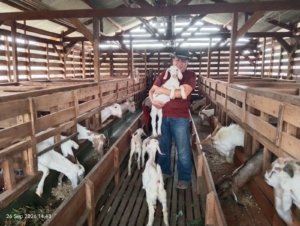 Pensiunan Perwira TNI AL Rintis Peternakan Susu Kambing Etawa Premium di Sukabumi