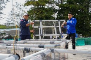 PT TIMAH dan HNSI Tenggelamkan Atraktor Cumi di Perairan Bangka, Bantu Nelayan Hemat Biaya Melaut