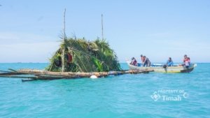 Tak Hanya Menambang, PT TIMAH Perkuat Ekosistem Laut Lewat Terumbu Buatan dan Restocking Cumi