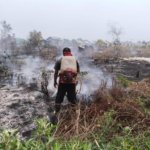 Karhutla Beltim Mengkhawatirkan! 411 Kejadian dan 832 Hektare Lahan Terbakar, Tertinggi di Babel