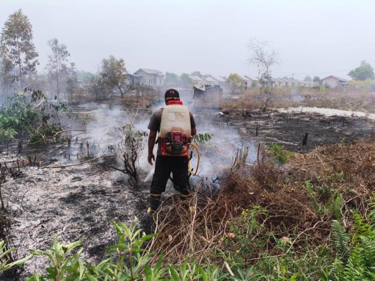 Karhutla Beltim Mengkhawatirkan! 411 Kejadian dan 832 Hektare Lahan Terbakar, Tertinggi di Babel